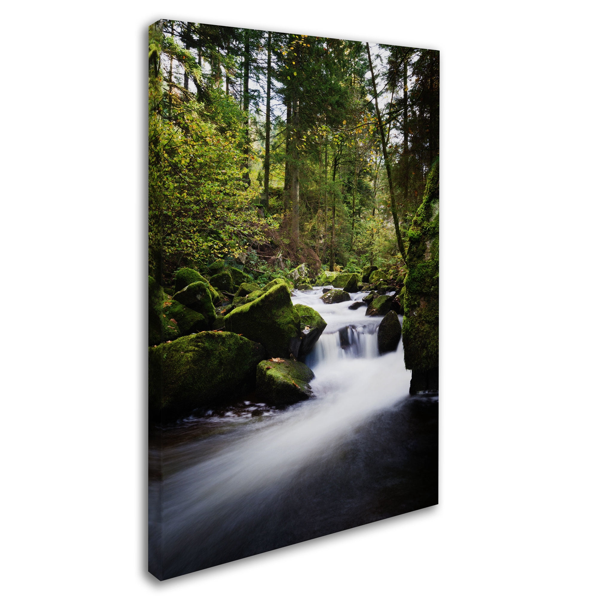 Trademark Fine Art "Waterfall in the Forest" Canvas Art by Philippe Sainte-Laudy