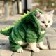 thumbnail image 1 of Mascota gato ropa de invierno divertido dinosaurio cachorro perro gato cálido felpa polar abrigo sudaderas con capucha suéter gatito M TUNC Sencillez, 1 of 5
