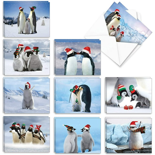 Penguins and Greetings - 20 Boxed Season's Greetings Cards with Envelopes (4 x 5.12 Inch) - Cute Family Christmas Cards for Kids - Assorted Notecard Set (2 Cards of 10 Designs) AM2951SGG-B2x10