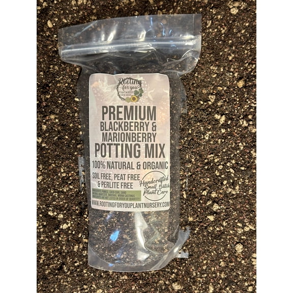 Blackberry / Marionberry Premium Potting Mix