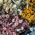 thumbnail image 4 of 5 guirnaldas de flores de margaritas, diadema con forma de girasol, sombrero de paja para playa, vacaciones en la playa, guirnalda, 4 of 6