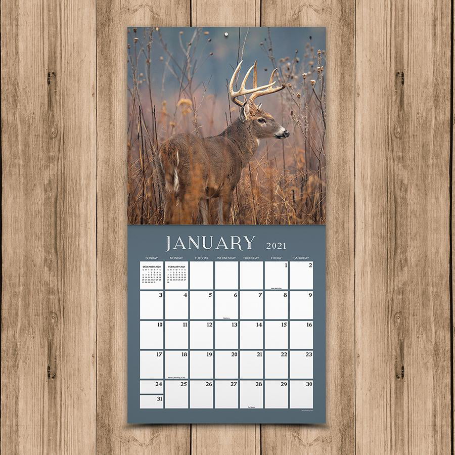 2021 Deer in The Woods Wall Calendar