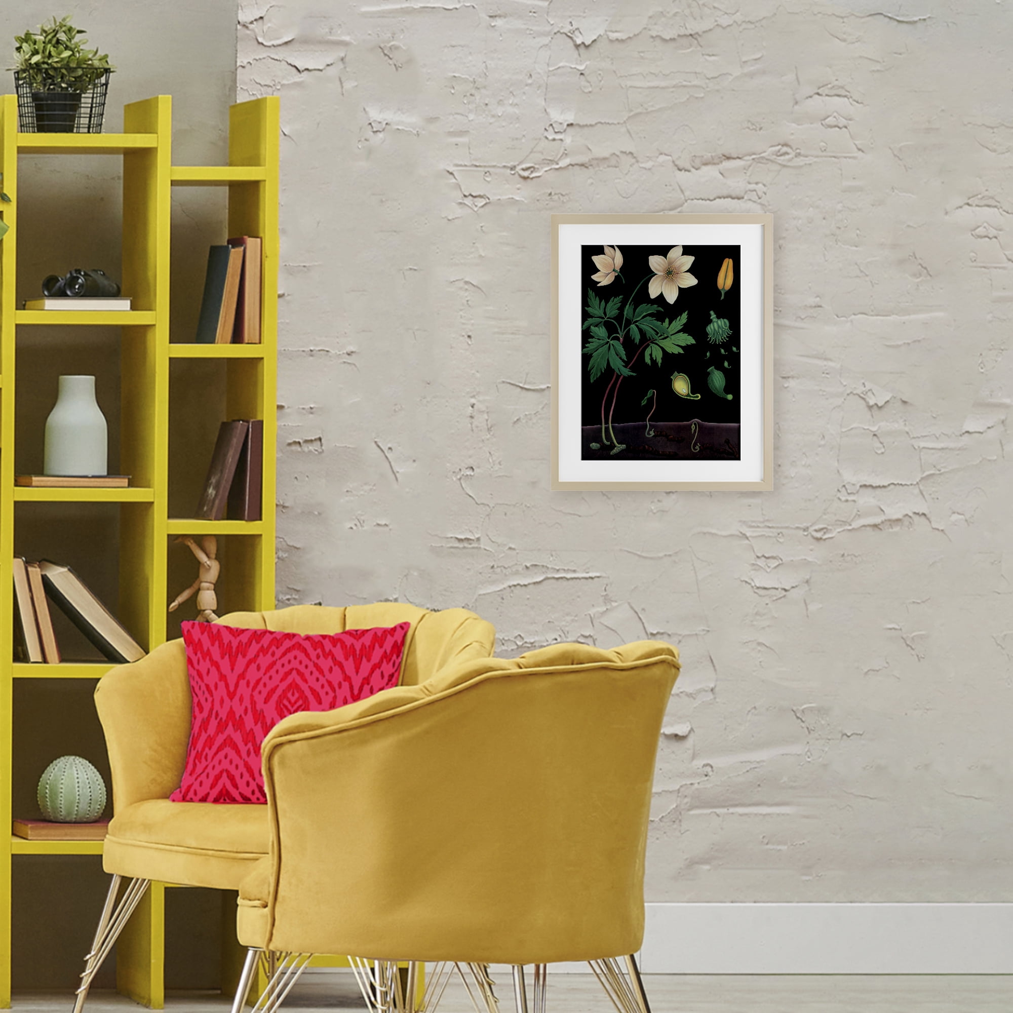 Stupell Industries Sprouting Wildflower Illustrations Birch Framed Print Under Glass, design by Vintage Hustle