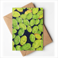 thumbnail image 1 of Cartes de Voeux Nature Eau Douce Vous Êtes Invités Invitations, 1 of 3