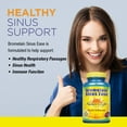 thumbnail image 3 of Nature's Life Bromelain Sinus Ease 1200mg | With Vitamin C & Quercetin | Sinus Health, Immune Function & Seasonal Support | 100 Vegetarian Capsules, 3 of 6