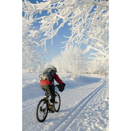 Woman Biking Alongside The Westchester Lagoon Trail In Winter Wearing Cold Weather Cycling Gear Anchorage Alaska Poster Print by Dan Bailey  Design