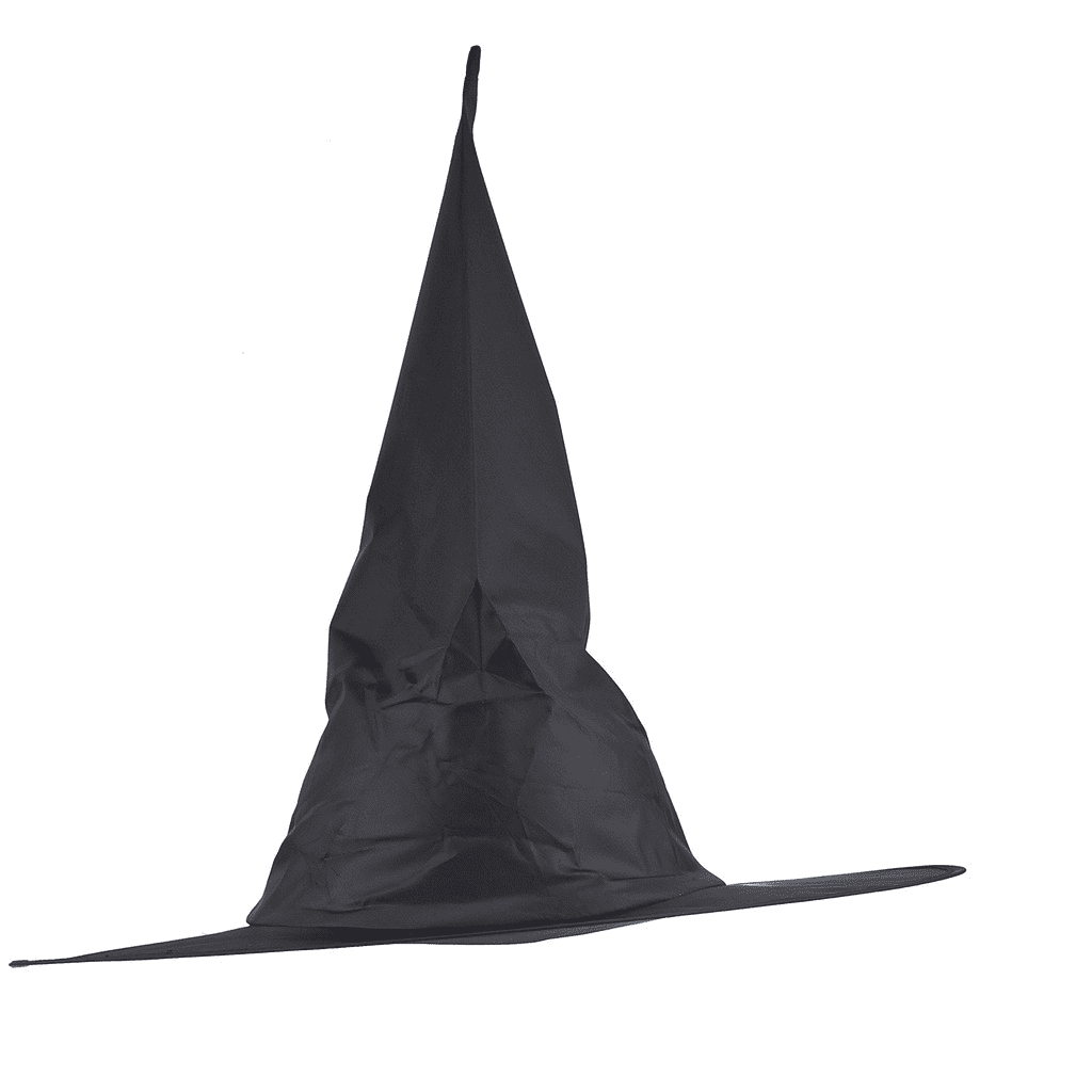 Lux Accessories Black Halloween Witch Hat Costume Accessory