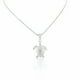 thumbnail image 1 of Collar con Dije de Tortuga Marina Del Océano Tropical Pequeño de Plata de Ley para Mujer - Regalos Tropicales para Mujeres y Adolescentes, 1 of 6