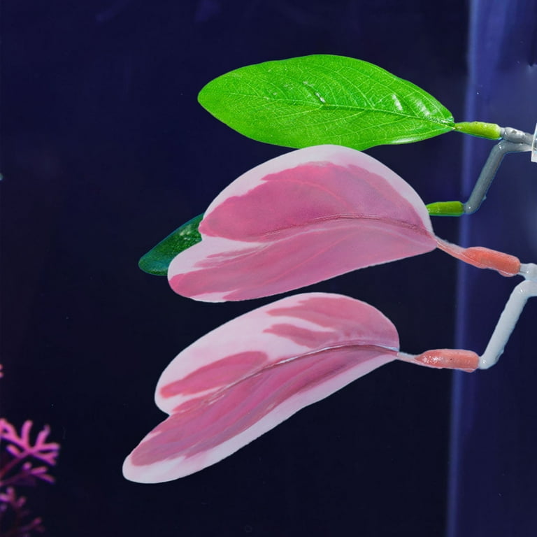 betta fish tank painted accessories WILLBOND 2 Pcs Blue Pink Silicone Bed Leaf Hammock Betta Fish Decorations for Aquarium Ornaments, Practical Resting Spot, Comfortable and Safe : Pet Supplies x H)Package Content Awwp 1 Pieces Artificial Aquarium