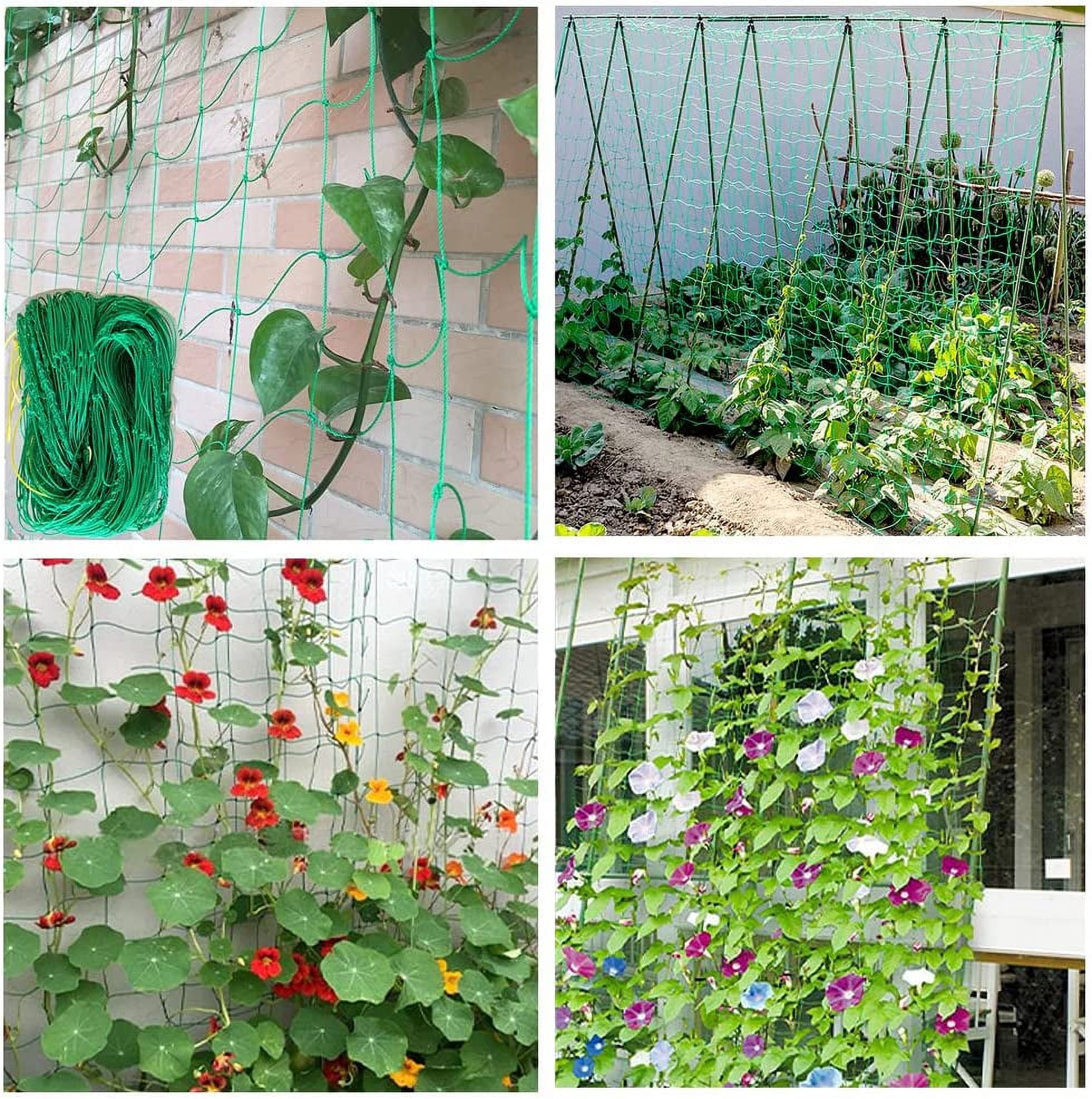 Garden Nylon Mesh Plant Support Trellis Netting Plant Climbing Net for Flower Fruits Vegetables Tomato Plants 5.9Ft x 8.85Ft