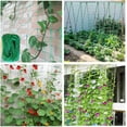 thumbnail image 4 of Garden Nylon Mesh Plant Support Trellis Netting Plant Climbing Net for Flower Fruits Vegetables Tomato Plants 2.95Ft x 5.9Ft, 4 of 4