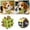 B, variant on Interactive Dog Sneaker Toy Portable Intelligence Puzzle Cube for Small and Medium