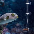 thumbnail image 2 of Durable Clear Acrylic Aquarium Fish Shrimp Feeding Tube with Tray (32cm), 2 of 4