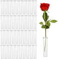 thumbnail image 1 of 200 piezas de tubos / viales de agua florales para arreglos florales, tubos de agua de flores de rosas, púas de agua, tubos de agua florales de plástico transparente con púas, agua floral, 1 of 5