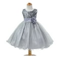 thumbnail image 1 of little Girls Cinderella Lace Princess Dress Pageant Ball Gowns Kids Tulle Flower Girls Dresses, 1 of 5