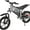 Gray, variant on GOTRAX Fitz16 Electric Dirt Bike for Kids Ages 8+,350W Motor, 16" Off-Road Tires, Dual Suspension, 15.5 MPH, 16-Mile Range, LED Headlight,Black
