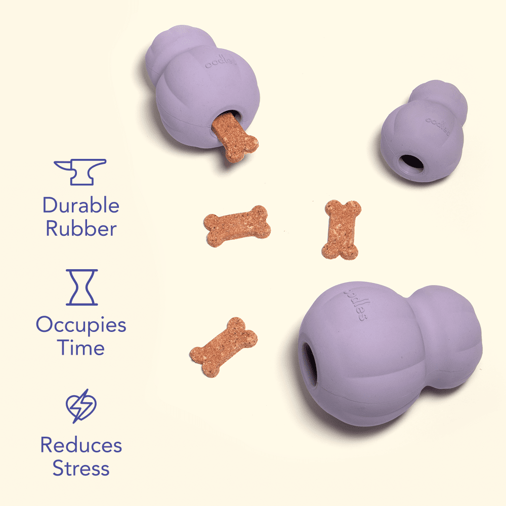 Oodles Durable Rubber Purple Fillable Interactive Dog Treater, Medium