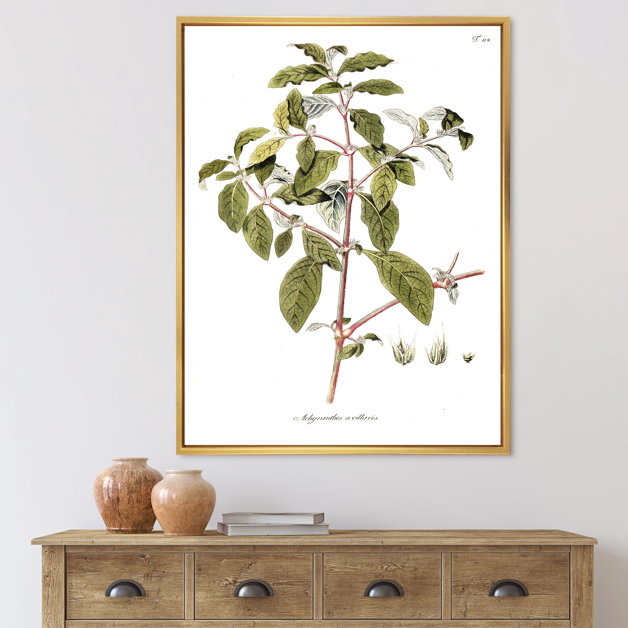 Designart 'Ancient American Flora IV' Traditional Framed Canvas Wall Art Print