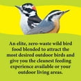 thumbnail image 4 of 3-D Pet Products Deck, Porch Patio Blend Wild Bird Food, 5 lb., Dry, 1 Pack, 4 of 13