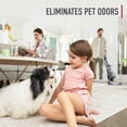 thumbnail image 3 of Limpiador de alfombras y habitaciones Hoover en polvo para mascotas, 946 ml, 3 of 5