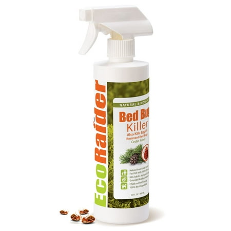 Bed Bug Killer 16OZ by EcoRaider, Green & Non-Toxic, 100% Kill & Extended (Best Bug Spray To Kill Spiders)