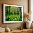 thumbnail image 5 of Shenandoah Ferns 01 - Virginia Photography Forest Nature Landscape Botanical Scenic Autumn Floral Unframed Wall Art Print 20 x 30 inches, 5 of 7