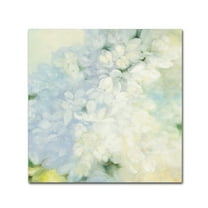 Trademark Fine Art 'White Lilacs Bright' Canvas Art by Julia Purinton