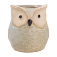 thumbnail image 2 of YiJuHui Owl Ceramic Flower Pot, Cute Succulent Planter for Small Plants, Decorative Indoor Outdoor Container, Cactus Herb Pot for Home Office Garden Decor, 2 of 6