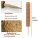 thumbnail image 2 of Tótem de fibra de coco con parte inferior puntiaguda y resistente para soporte de plantas con cáscara de coco, 2 of 8