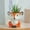 A,7.5"x3", variant on Luysn Flower Pots,Animal Succulent Planter Pot with Drainage Hole,Garden Pots,Cartoon Ceramic Flower Plant Pot Tiny Flower Planter Cactus Container Indoor Decor,Plant Pots,Pots for Plants 7.5"X3"