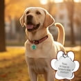 thumbnail image 5 of Cheapark Personalized Pet ID Tag Alloy Metal Glitter Blank Dog Tag Engravable Pendant Pet Identification Accessory, 5 of 5