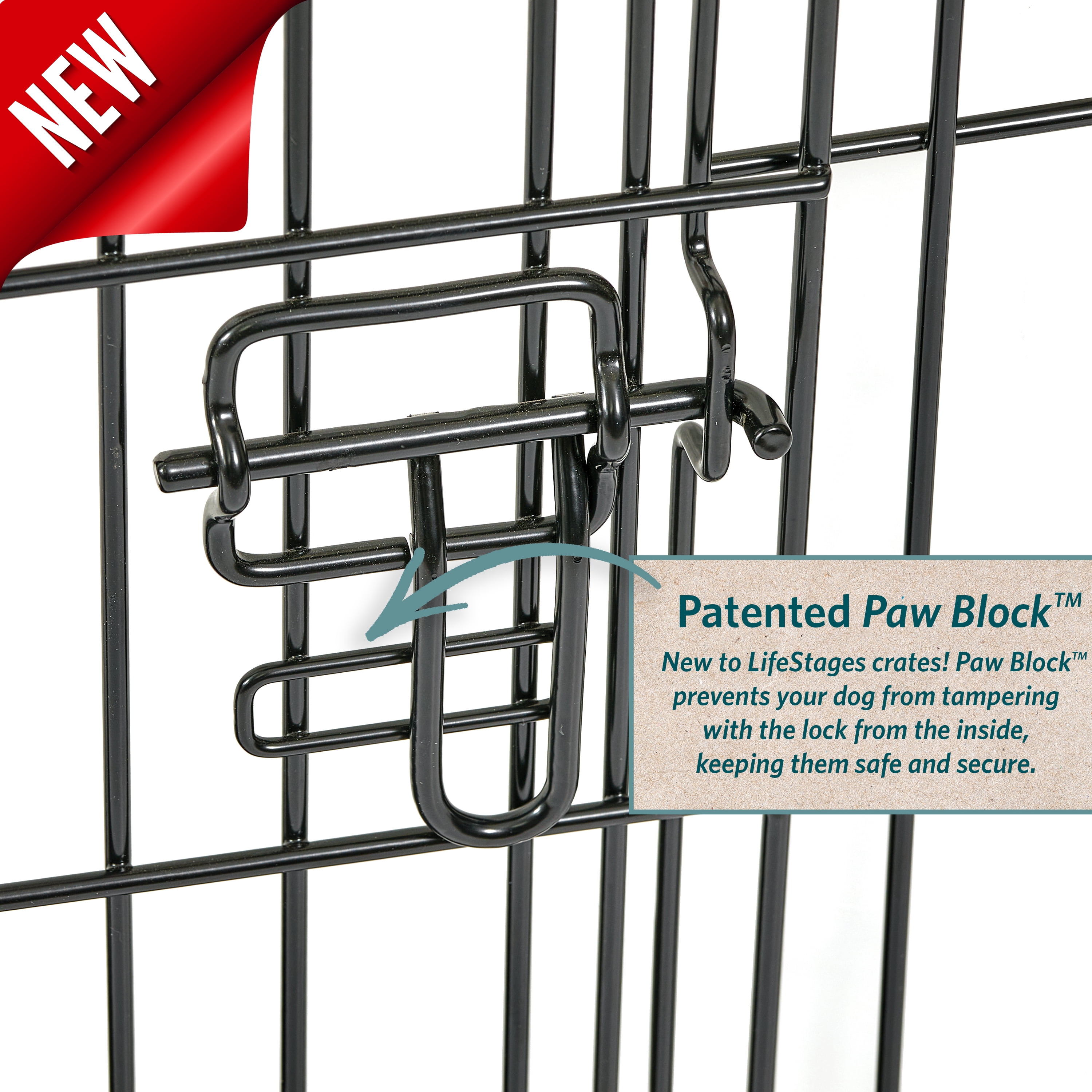 MidWest Homes for Pets 24-Inch LifeStages Crate for Small Breeds, 12-20 lbs, Single Door Folding Dog Crate with Divider Panel, Leak-Proof Tray & Secure Latch, Heavy-Duty & Easy to Assemble