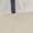 Navy, variant on Women Cute Lantern Sleeve Crop Top Polo Collar Button Down Loose Tee Blouse Peter Pan Casual Work Shirt