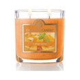 thumbnail image 2 of Colonial Candle Mango Salsa 3.5 Oz 2 Wick Candle, Orange, 2 of 4