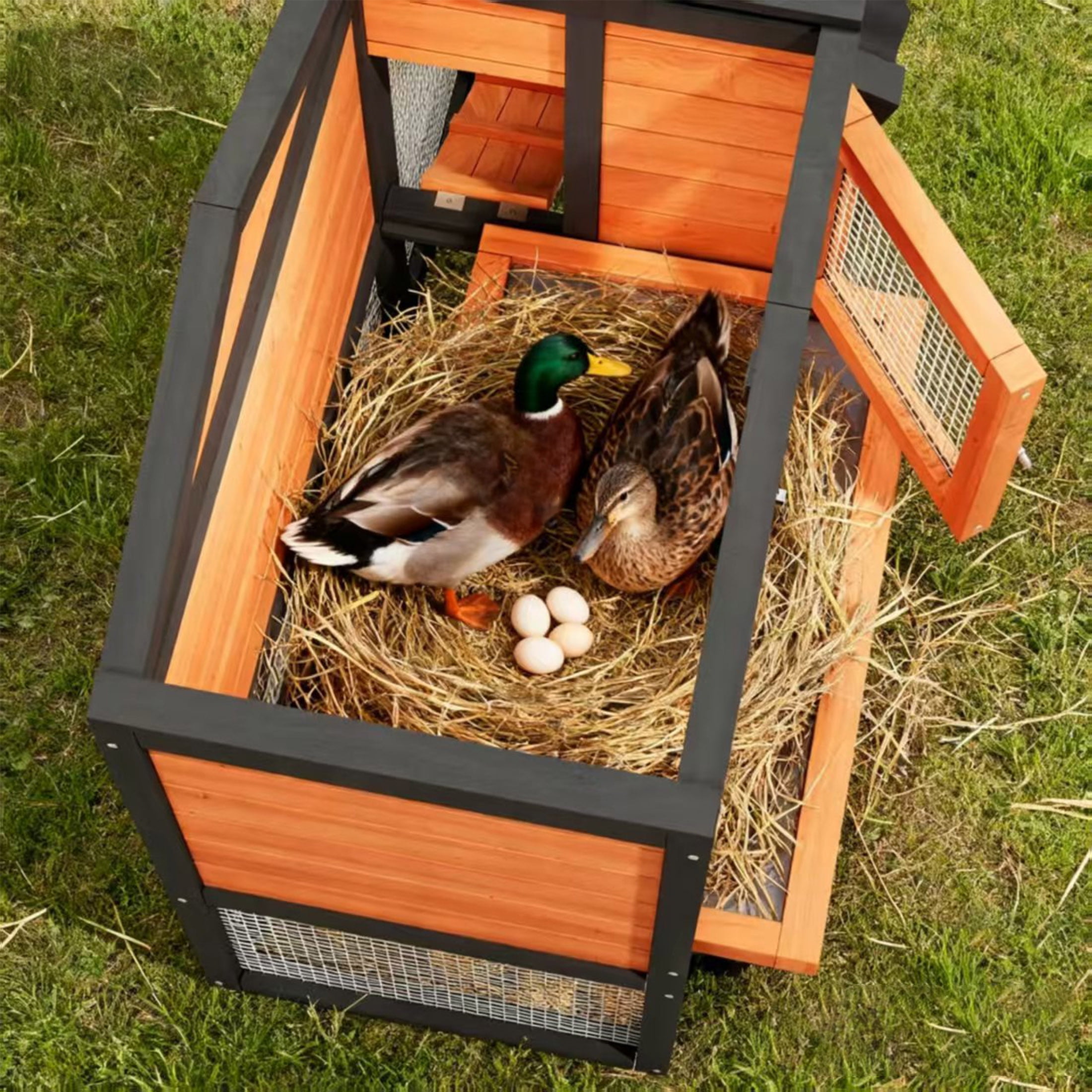 Predator Proof Outdoor 2 Story Duck Condo with Weatherproof Brooder,Duck Hutch with Wire Mesh Run,58",Orange with Black
