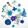 thumbnail image 2 of AMLESO Dried Pressed Dry Leaves Bulk Kit for Stickers Making Crafts Blue, 2 of 8
