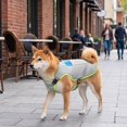 thumbnail image 4 of Pets Dog Cooling Vest with Ice Pack Evaporation Cool Harness Adjustable Summer Shirt Pet Jacket for Hot Weather Fit Large Medium Small Dogs Grey S, 4 of 6