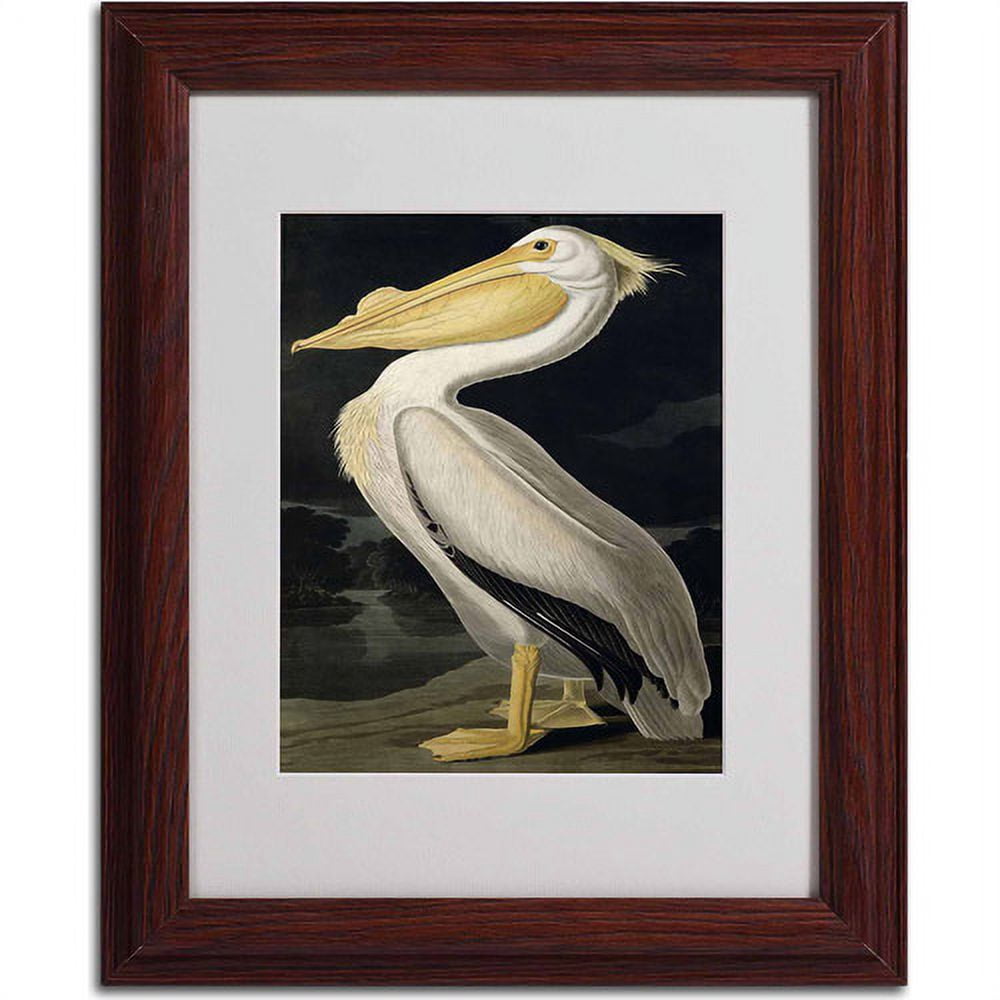 Trademark Fine Art "American White Pelican" Canvas Art by John James Audubon, Wood Frame