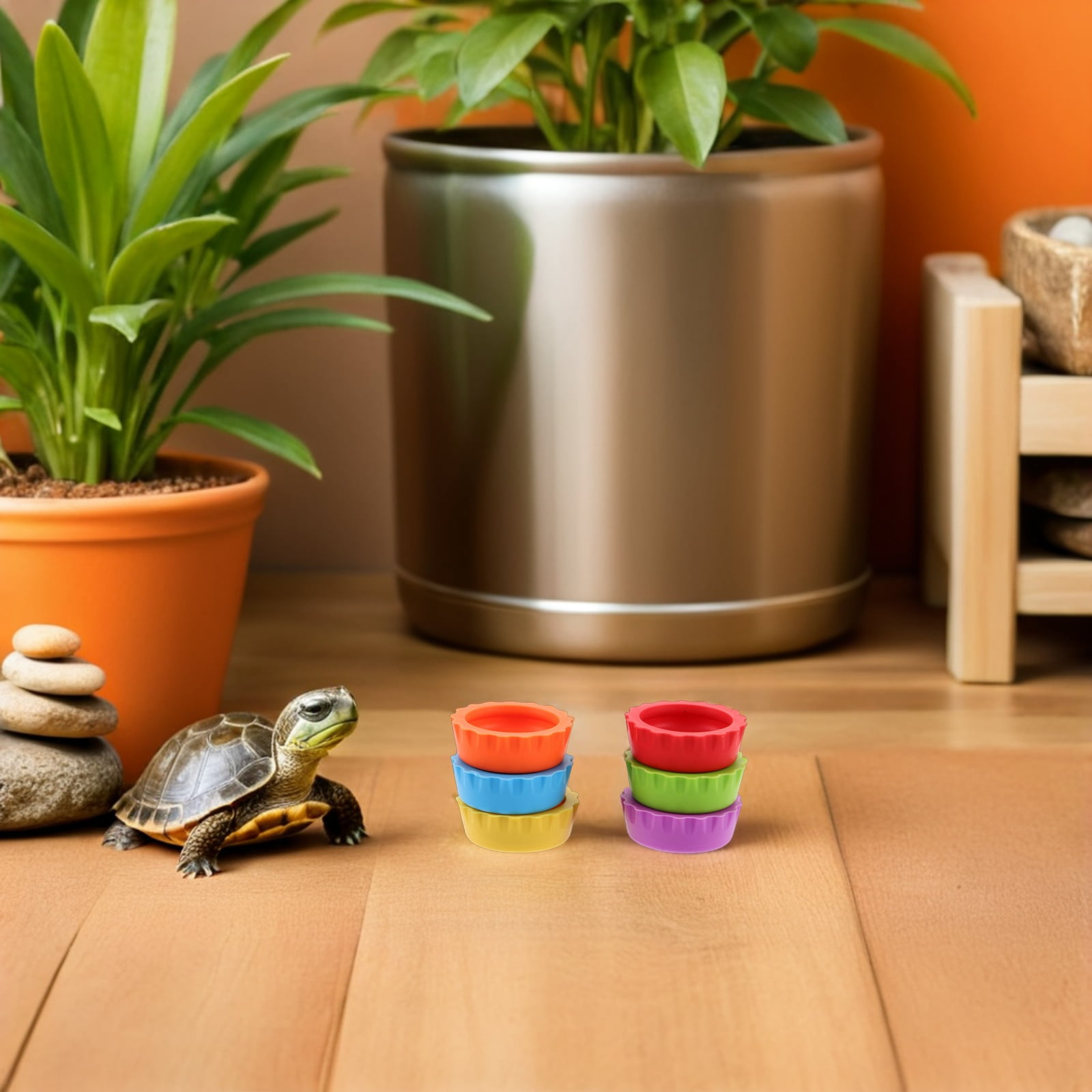 ETHZZLE 24-Pack Flexible Silicone Feeding Dishes for Small Reptiles, Lizards, and Amphibians, Thick and Assorted Colors