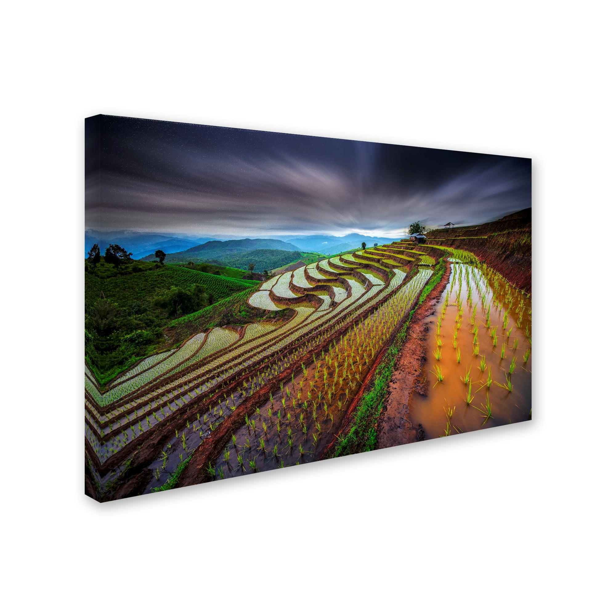 Trademark Fine Art 'Unseen Rice Field' Canvas Art by Tetra