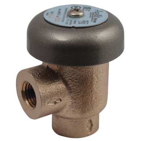 

Vacuum Breaker 3/4 In. FNPT 125 psi