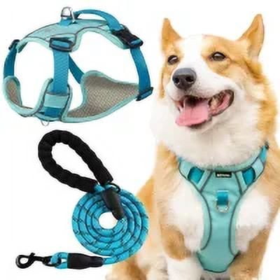 AIITLE Breathable Mesh-lined Dog Harness with A Leash - Waterproof Lightweight Oxford Cloth Pet Harness with Double Reflective Design, Adjustable No Pull Pet Supplies for Puppy Small Dogs Blue XS