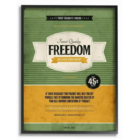 Stupell Industries Finest Quality Freedom Inspirational Vintage Comic Book Design Framed Wall Art by Ester Kay