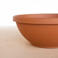 thumbnail image 4 of Bloem Terra 14" Diameter Round Terra Cotta Resin Planter Bowl with Knock-Out Drainage Holes for Indoor and Outdoor Gardening, 4 of 6