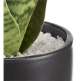 thumbnail image 4 of Bouclair Artificial Plant in Black Pot, 4 of 6
