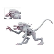 Alien Classics - 5.5? Action Figures - Neomorph
