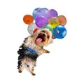 thumbnail image 3 of Injueey Creativo perro volador jirafa pájaro colgante adornos lindo coche colgante adorno Type3 NO3, 3 of 6