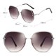 thumbnail image 2 of Gafas de sol de moda sencillas con tendencia de recorte de marco completo irregular, hechas de AC, 2 of 5
