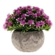 thumbnail image 3 of Planta Artificial En , Faux Plástico Falso Melaleuca Bonsai interior y exterior Hogar Jardín Oficina Boda Decoración Para -13cm / 5.12 '' - Púrpura Colco Flor en maceta de Gypsophila falsa, 3 of 8