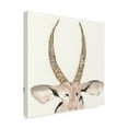 thumbnail image 2 of Trademark Fine Art 'Gilded Antelope' Canvas Art by Chris Paschke, 2 of 3